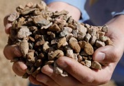 Malaysia tangkap 31 orang terkait penambangan ilegal logam tanah jarang