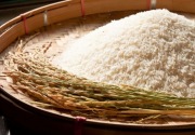 Impor beras serampangan yang tak bisa tekan harga beras mahal