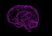 Semakin besar volume otak, semakin kecil risiko demensia