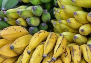 Ramadan, harga pisang merangkak naik