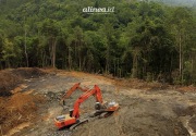 Hutan tropis Indonesia terus menipis