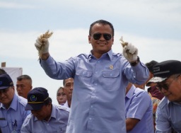 KPK dalami kebijakan ekspor benih lobster Edhy Prabowo