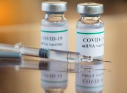 Pemerintah: Setiap jenis pengobatan Covid wajib lolos tahapan uji klinis