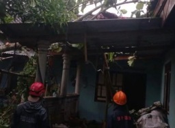 BPBD Sleman rinci pohon tumbang dan bangunan rusak imbas hujan badai