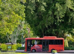 Kemenhub siapkan 30 bus listrik untuk mobilisasi delegasi G20