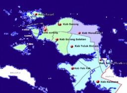 Puan sebut pembentukan Provinsi Papua Barat Daya demi pemerataan pembagunan