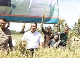 Penjabat Gubernur sebut Banten masuk 8 besar produsen beras nasional