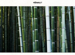 Estetika bambu yang bantu mitigasi perubahan iklim�
