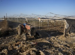 Saat permukiman Israel tumbuh subur, keran air Palestina mengering