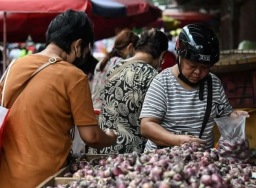 Yang lain kesulitan impor dari India, bawang merah di Filipina murah sekali 