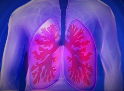 Apakah manusia dapat hidup dengan satu paru-paru?