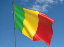 Junta Mali melarang media melaporkan aktivitas politik