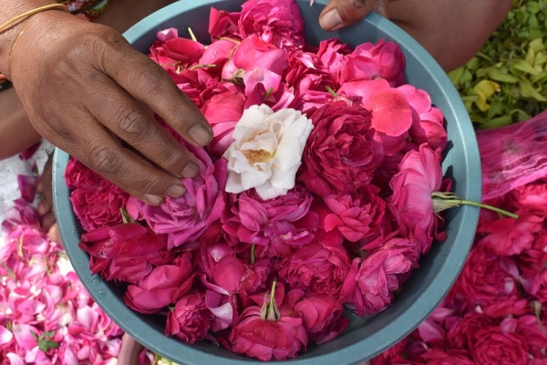Pedagang Bunga Pemakaman Raup Jutaan Rupiah