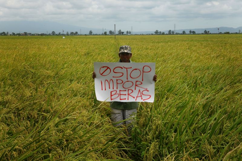 Kontroversi beras, Bulog gantikan PPI impor 