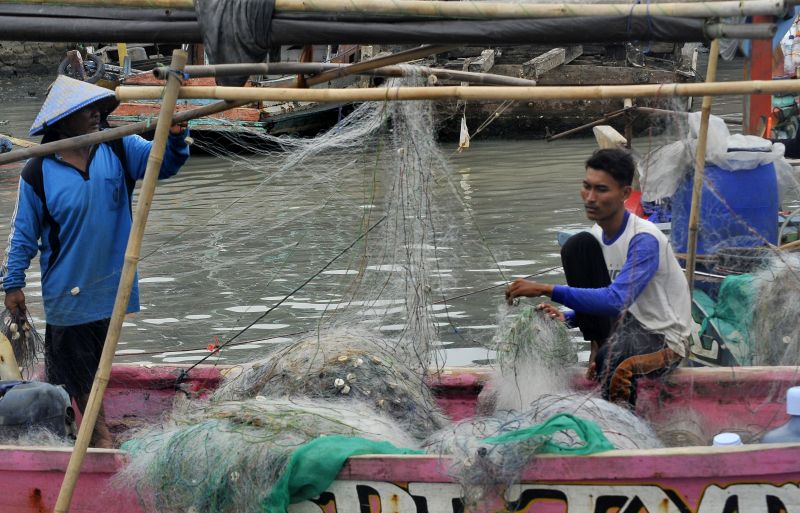Tanpa cantrang, pengolahan ikan ditargetkan tumbuh 10% 