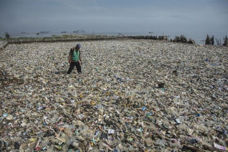 Sampah Kali Adem picu kerusakan ekosistem laut Jakarta