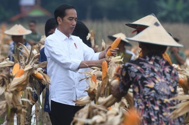 Syahrul Yasin Limpo ditunjuk jadi ketua pemenangan Jokowi