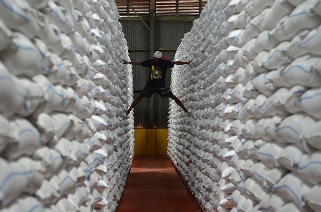 Pemerintah setuju impor gula mentah 635.000 ton