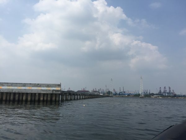 Penyisiran buaya di Teluk Jakarta terus dilakukan