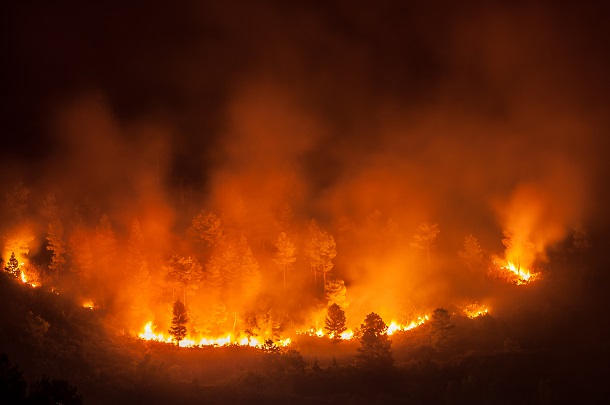 Lebih dari 20 orang tewas dalam kebakaran hutan di Yunani