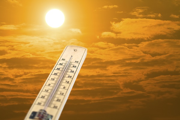 Gelombang panas tewaskan 29 orang di Korea Selatan