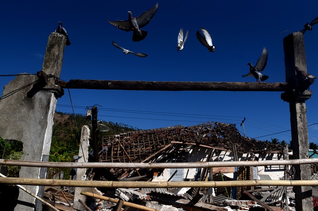 Pemerintah pusat bangun 10.000 rumah tahan gempa di Lombok