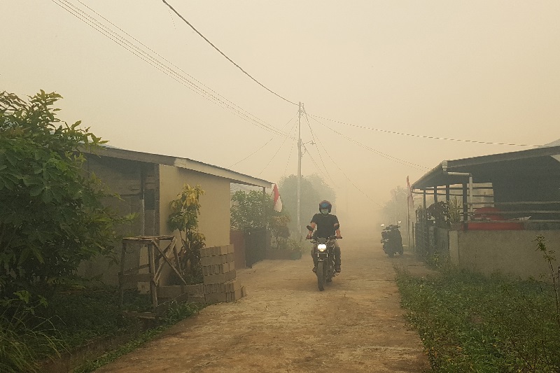 Kebakaran hutan di Kalbar pengaruhi kualitas udara 