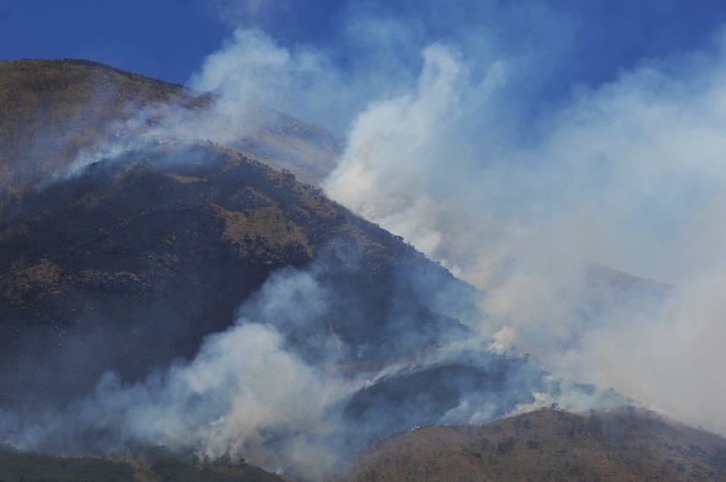 Hutan Gunung Sindoro masih terbakar