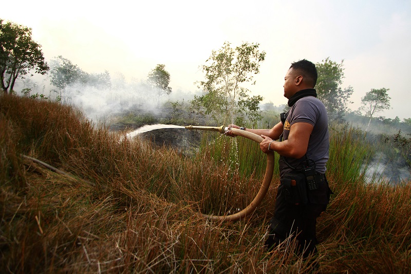 Dianggap rusak lingkungan di Riau, PT TFDI didenda Rp14 miliar