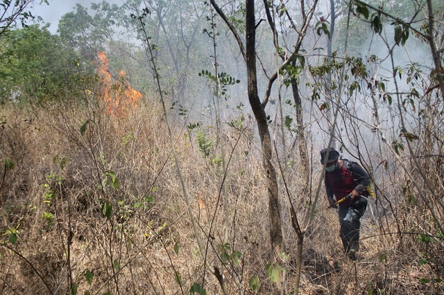 Kebakaran Gunung Ciremai semakin luas hingga 355 hektare