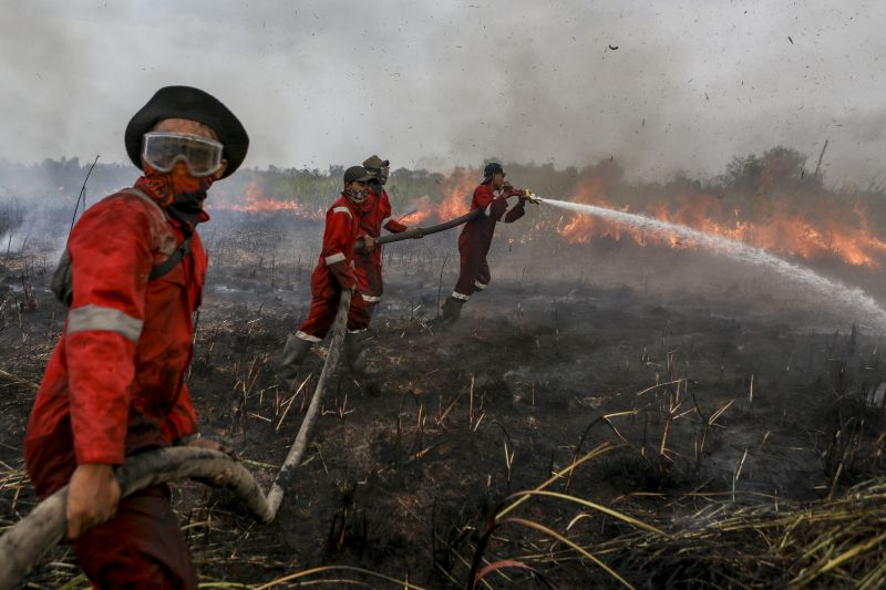 BNPB ingatkan peningkatan potensi kebakaran hutan dan lahan