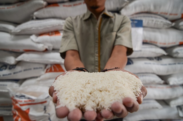 Menko Darmin: Kalau tak impor beras, tewas!