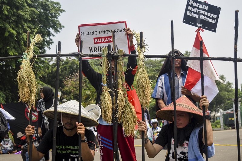 Walhi somasi Jokowi terkait kriminalisasi aktivis lingkungan