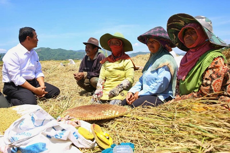 Mentan: Indonesia jadi lumbung pangan dunia pada 2045