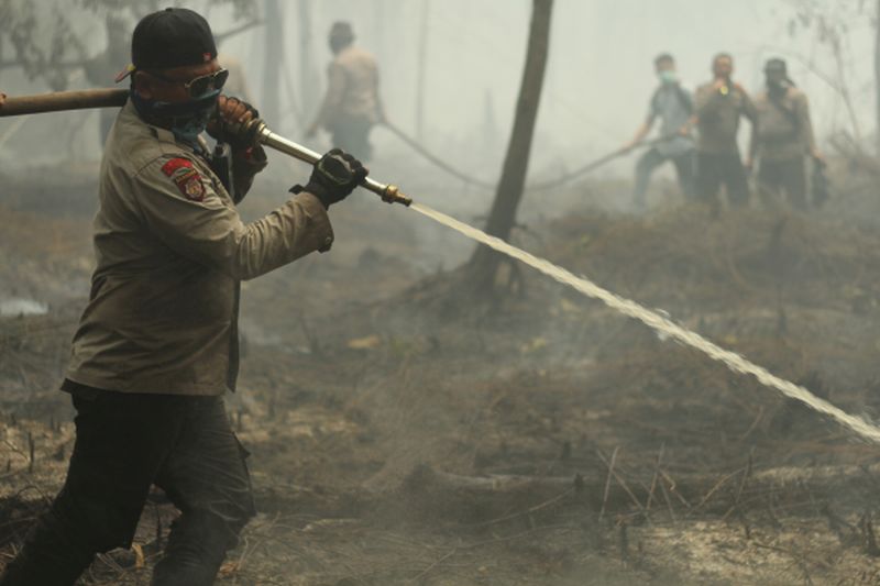 KLHK klaim berhasil turunkan kebakaran hutan sejak 2015