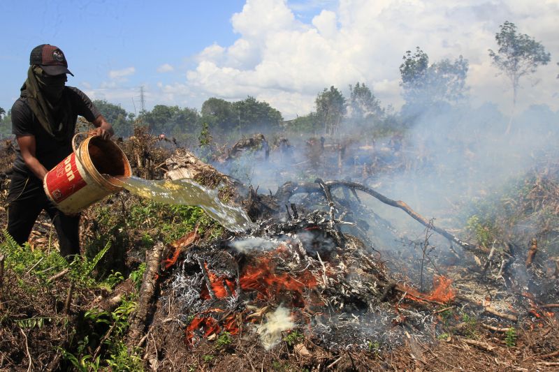 BMKG deteksi 62 titik api karhutla di Riau
