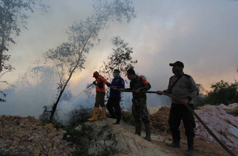 Ketua DPR desak Polri jerat pelaku pembakaran hutan