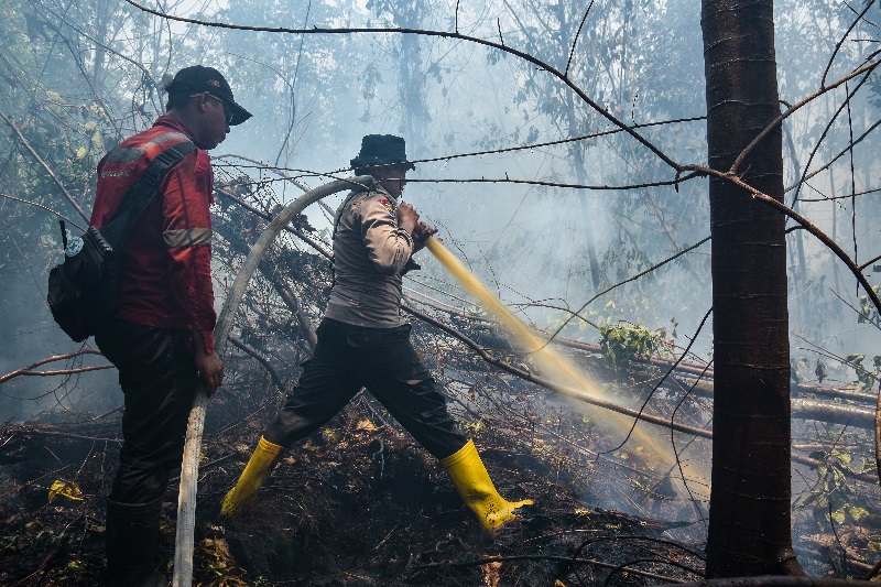 Kebakaran lahan di Riau berpotensi memuncak pada bulan ini