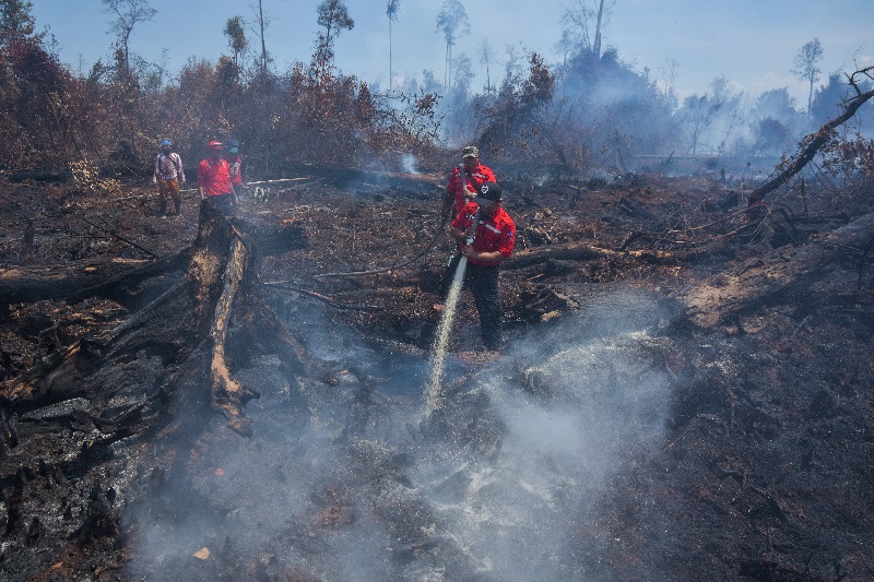 Pemadaman karhutla di Riau alami kendala
