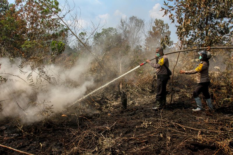BMKG ingatkan peningkatan potensi karhutla di Sumatera dan Kalimantan