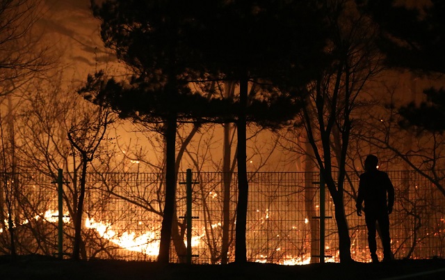 Kebakaran meluas, Korea Selatan deklarasikan status darurat nasional