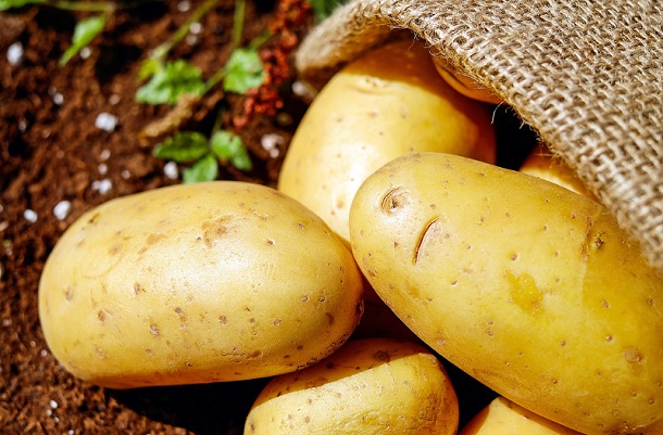 Tanam kentang yang digunakan untuk Lay's, empat petani India digugat