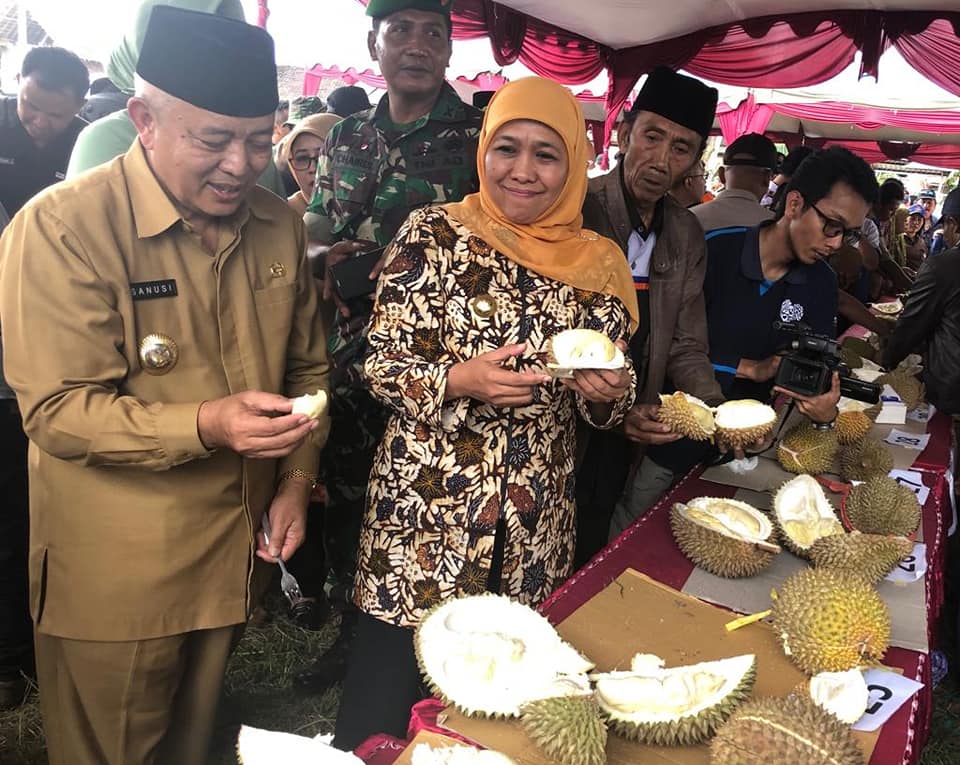Surabaya impor bawang putih sebanyak 15.000 ton 