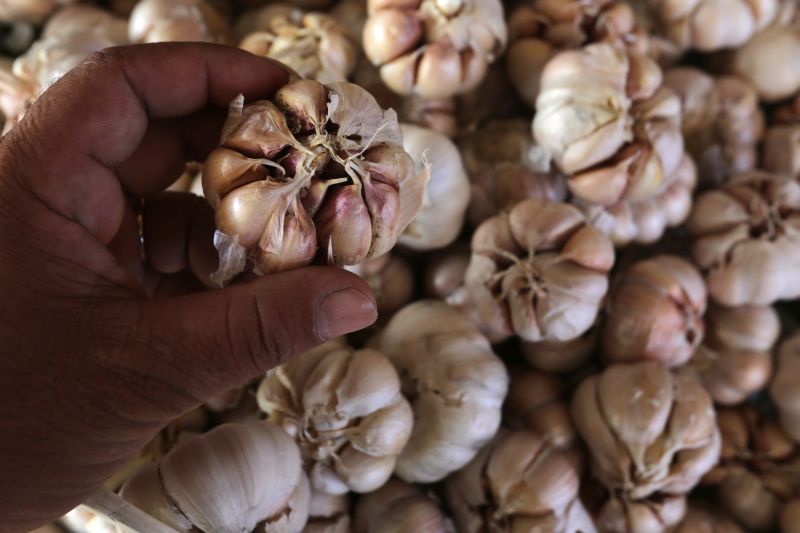 Satgas Pangan selidiki penyebab kenaikan harga bawang putih