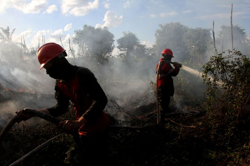 Gubernur tetapkan Sumatera Selatan darurat karhutla