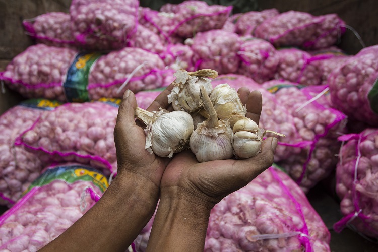 Satgas Pangan belum temukan praktik kartel bawang putih