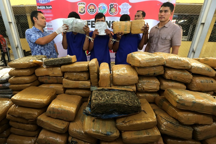 Kronologi penangkapan anggota TNI saat bawa ganja 74 kg dari Aceh
