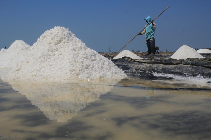 Luhut Pandjaitan: RI berhenti impor garam 2021