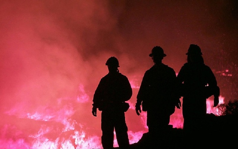 Kebakaran hutan di Portugal: Polisi tahan seorang pria