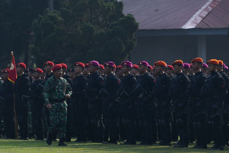 Koopsus TNI tak akan ganggu pemberantasan terorisme Densus 88